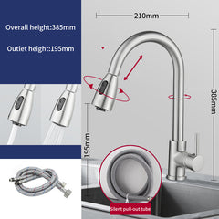 Stainless Steel Pull Type Faucet Double Outlet Cold and Hot Water Dish Washing Basin Sink Retractable Pull Faucet