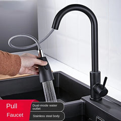 Stainless Steel Pull Type Faucet Double Outlet Cold and Hot Water Dish Washing Basin Sink Retractable Pull Faucet