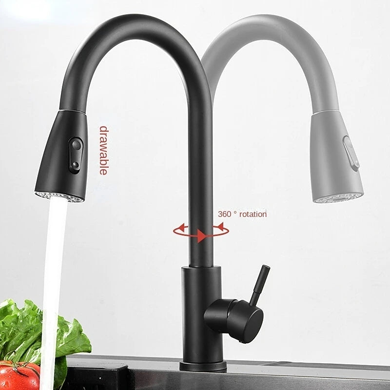 Stainless Steel Pull Type Faucet Double Outlet Cold and Hot Water Dish Washing Basin Sink Retractable Pull Faucet