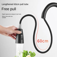 Stainless Steel Pull Type Faucet Double Outlet Cold and Hot Water Dish Washing Basin Sink Retractable Pull Faucet