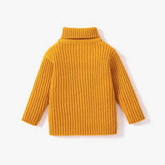 Toddler Girl/Boy Solid Cable Knit Turtleneck Sweater - Jess Deals
