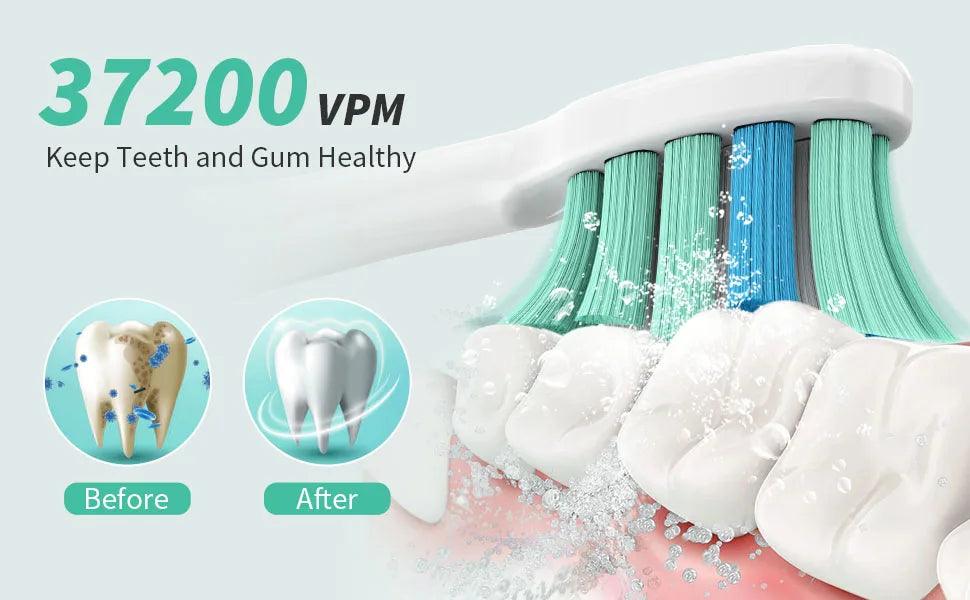 Sejoy Sonic Electric Toothbrush for Adults Rechargeable 5 Cleaning Modes Ultra Sonic Toothbrush with 12 Brush Heads Smart Timer - Jess Deals